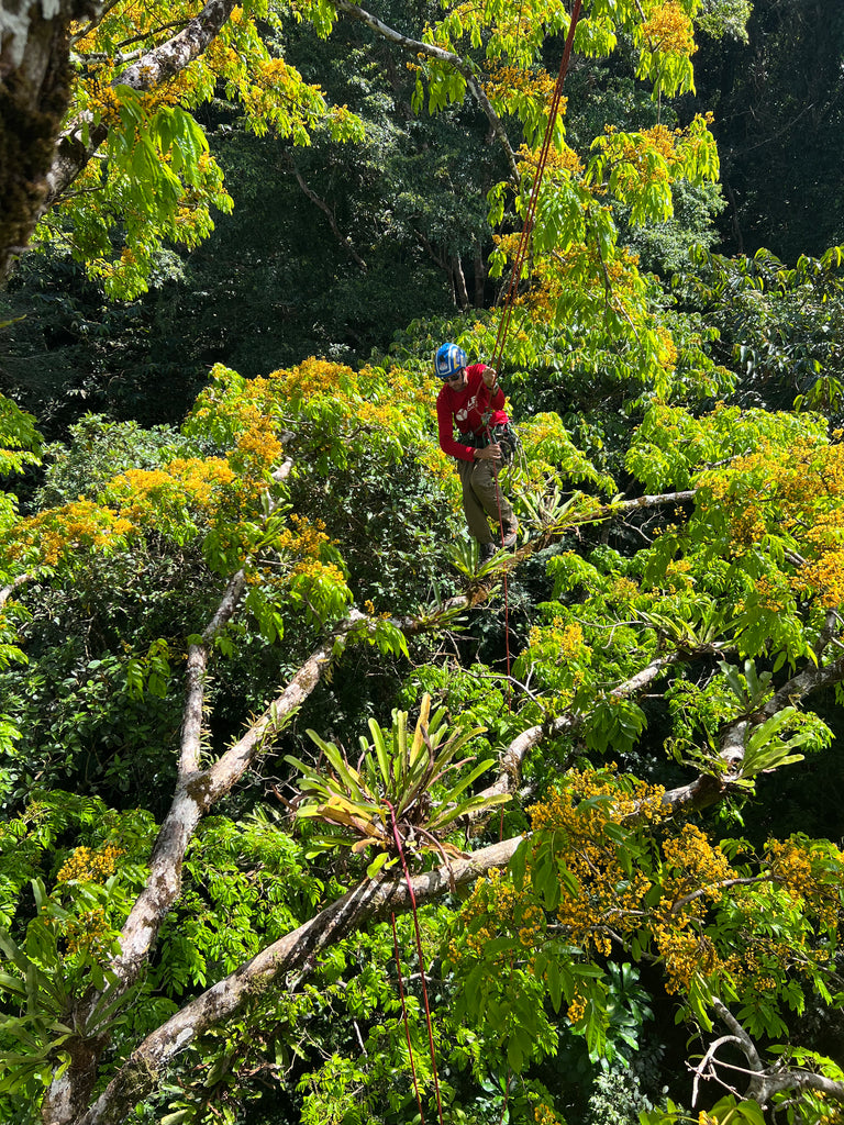 Slings and Rope Inspection – DMM